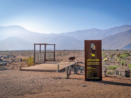 Consorcio chino podría comprar controvertido proyecto de hierro en Chile