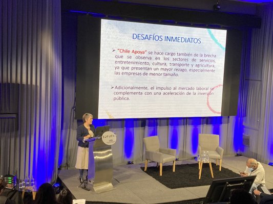 Ministra Jara asegura que apuesta del Gobierno es establecer una pensión básica universal de $250 mil