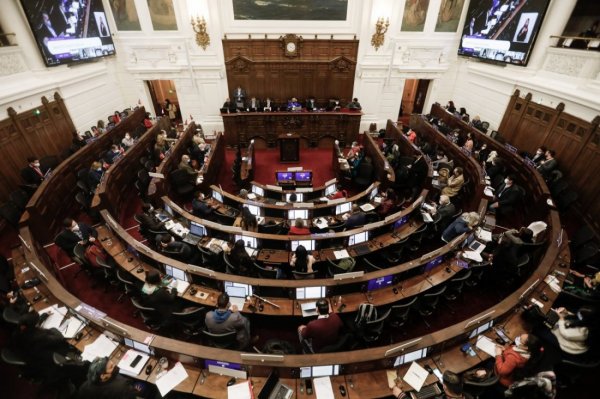 Convención Constitucional estrena mascotas: "Norma" y "Justo" se encargarán de comunicar los avances del Pleno