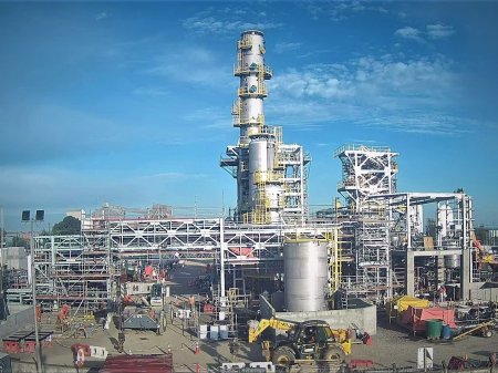 Crecimiento de industrias de celulosa y salmones lleva a firma brasileña a aumentar inversiones en su país y Chile