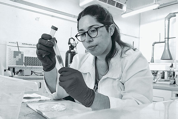Francisca Aranda, la científica que descubrió un segundo uso del pino