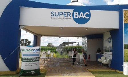 Firma ligada a brasileña XP compra biotecnológica SuperBac y la llevará al Nasdaq