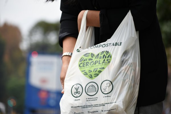 A fines de año las bolsas compostables se comercializarán en Amazon.