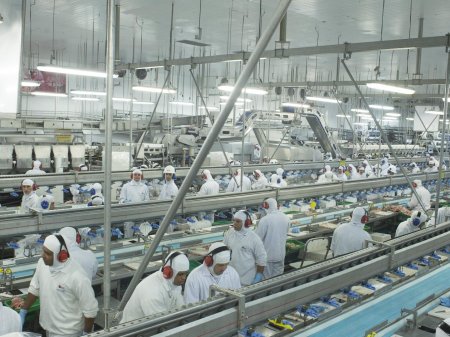 FMI: Guerra de Ucrania le brinda a América Latina la oportunidad de impulsar sus exportaciones