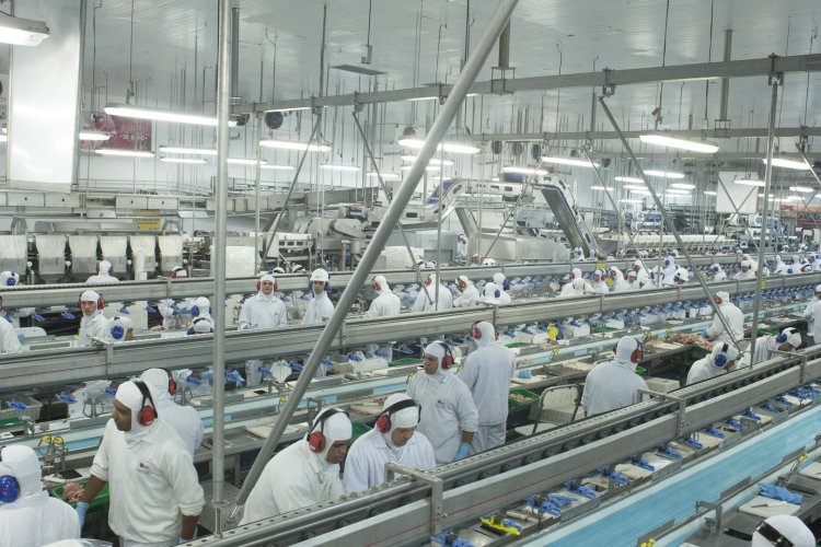 FMI: Guerra de Ucrania le brinda a América Latina la oportunidad de impulsar sus exportaciones