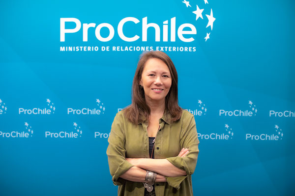 ProChile apuesta por Centroamérica para aprovechar interés por otros usos del cobre