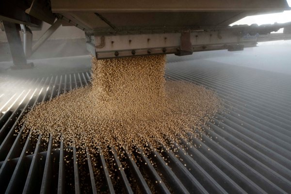 El hambre en el mundo empeorará tras aumentar un 25% antes de la guerra de Ucrania