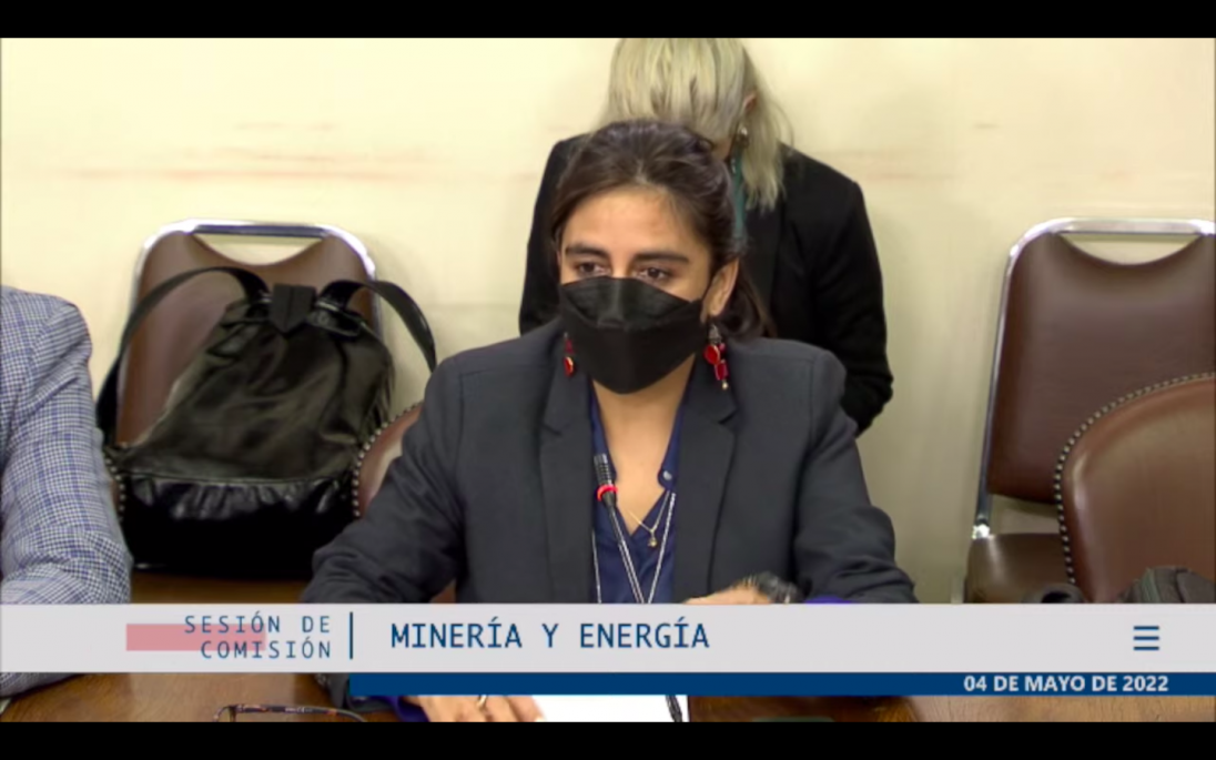<p>La subsecretaria de Hacienda Claudia Sanhueza expuso ante la Cámara.</p>
