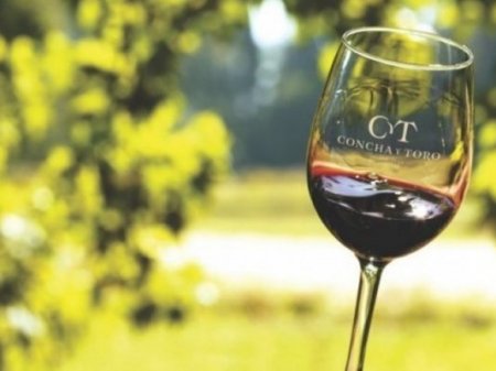 Chilena Concha y Toro robustece su operación en Brasil con estreno de canal e-commerce