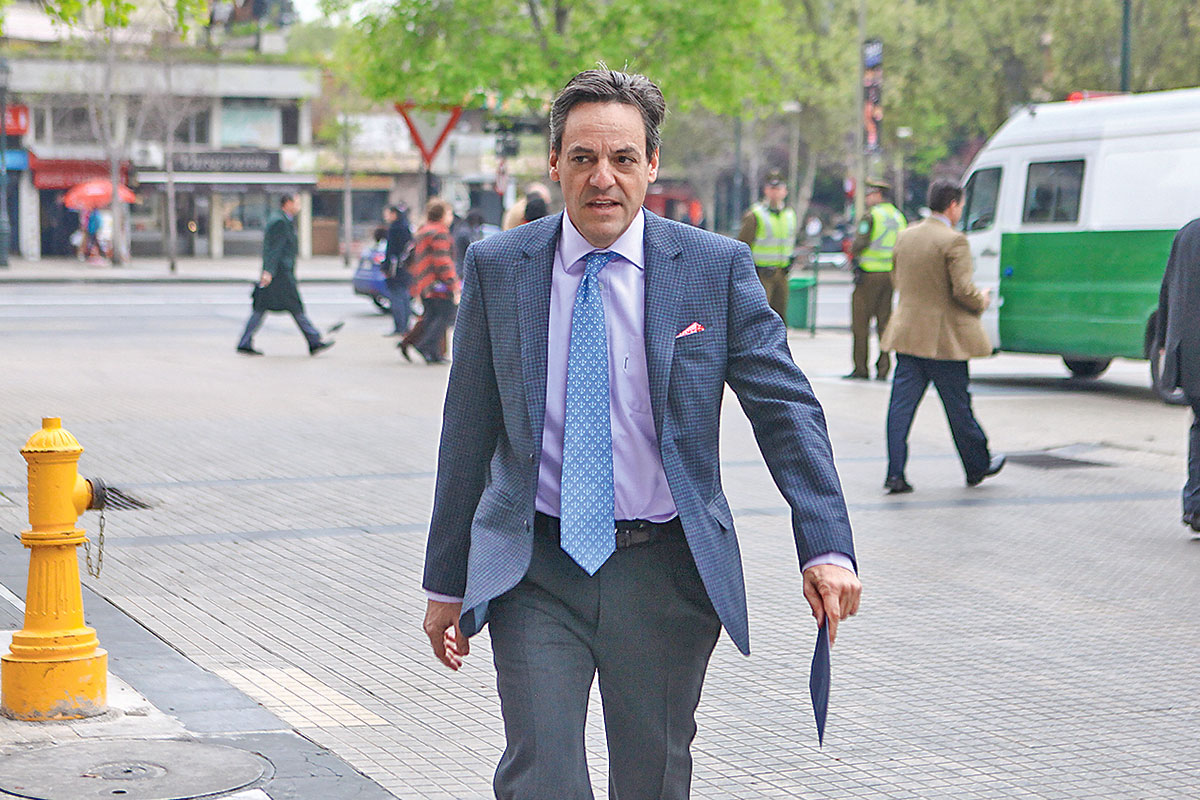 <p>Nicolás Ibáñez reordena negocio agrícola y vende terrenos frutales y forestales</p>