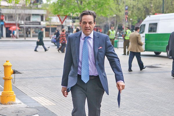 Nicolás Ibáñez reordena negocio agrícola y vende terrenos frutales y forestales