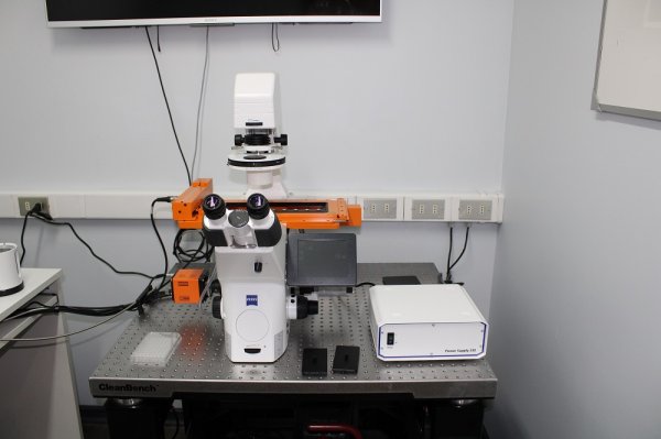 El microscopio TissueFaxs i Plus, permitirá automatizar las funciones y obtener resultados con mayor rapidez.