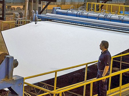 Precio de la celulosa sube 21% en lo que va del año e impulsa las ganancias de las forestales