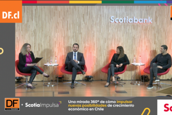 <p>DF Live | Una mirada 360° de cómo impulsar nuevas posibilidades de crecimiento económico en Chile</p>