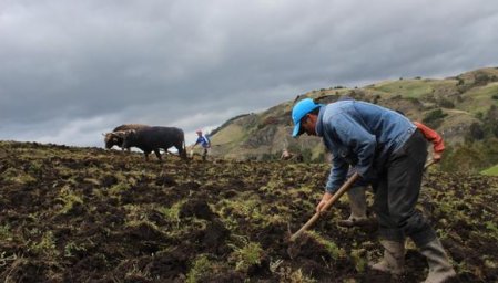 Problemas hídricos y de fertilizantes podría dejar en rojo la campaña de siembra en Perú