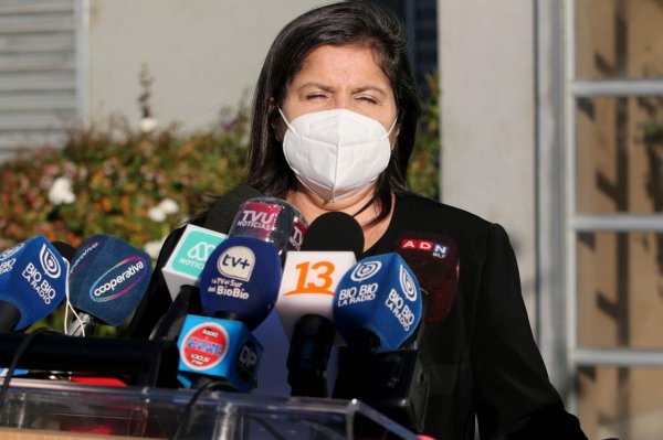 Las indagatorias de la fiscalía y el SII por el robo de madera en el sur