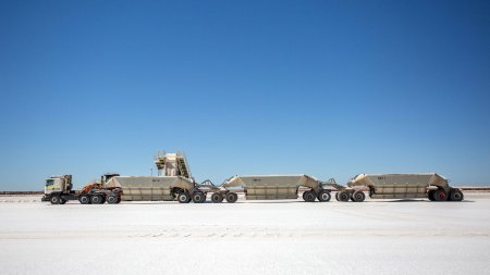 Mineras argentinas critican precio de exportación fijado por el gobierno para el litio