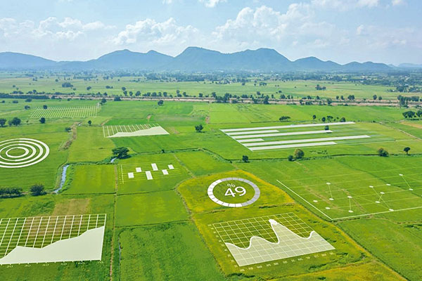 B. Mundial plantea opciones para un rol más activo del sector privado en el desarrollo y productividad en Chile