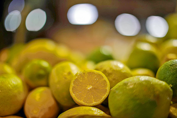 Boom de la vitamina C: Chile aumenta las plantaciones de cítricos y se transforman en “una alternativa rentable a la uva y la palta”