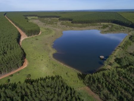 <p>Arauco logra acuerdo con gobierno local de Brasil y desarrollará su planta más grande de celulosa por US$ 3 mil millones</p>