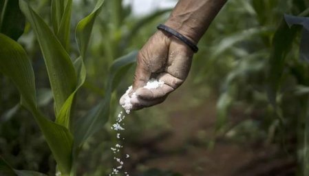 <p>Campaña agrícola en Perú en riesgo de ser mermada por falta de fertilizantes</p>