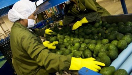 <p>Empresarios peruanos ponen sus ojos en Uruguay y Ecuador para ampliar abastecimiento</p>