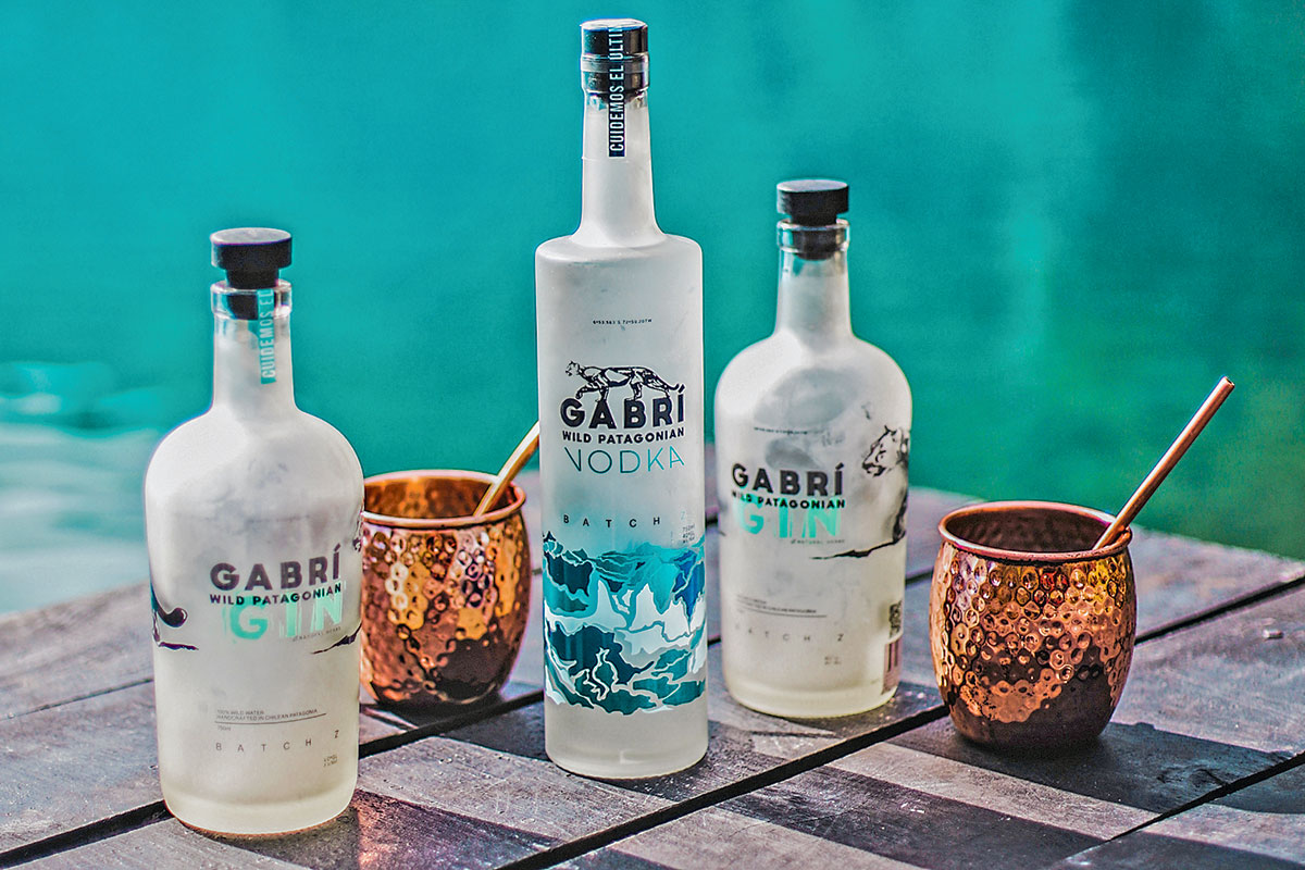 <p>Un gin que nace para proteger la Patagonia</p>