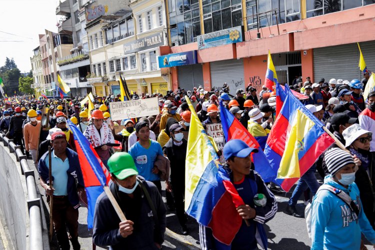 <p>Ministra de Salud de Ecuador renuncia, tras salida de su par de Economía, por protestas</p>