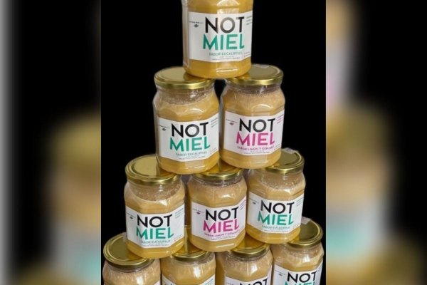 El endulzante natural que quiso comercializarse como Not Miel