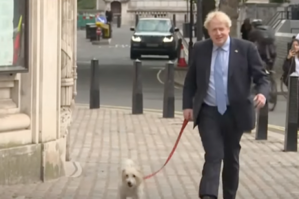 <p>Ahora en DF | Los candidatos para suceder a Boris Johnson</p>