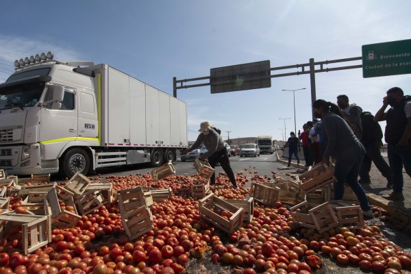 Agricultores de Arica bloquearon la calle con tomates: advierten desesperación y estar al borde de la quiebra