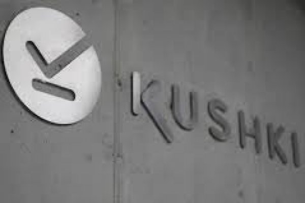 Fintech ecuatoriana Kushki profundiza apuesta en Chile y comenzará a operar como adquirente