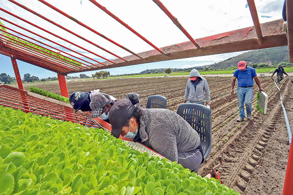 Gobierno pisa el acelerador y define primeras propuestas para abordar la crisis alimentaria