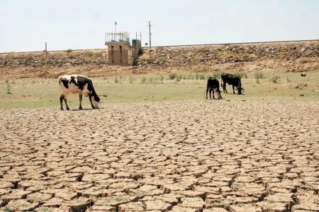 Sequía en el norte de México se transforma en el nuevo factor de incertidumbre para la industria alimentaria
