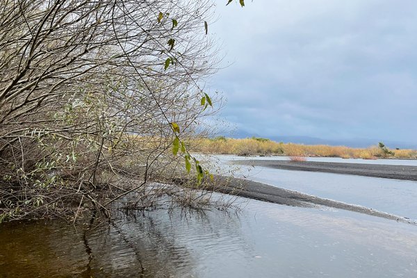 Ministerio de Medio Ambiente oficializa resguardo al segundo humedal urbano más grande protegido por ley