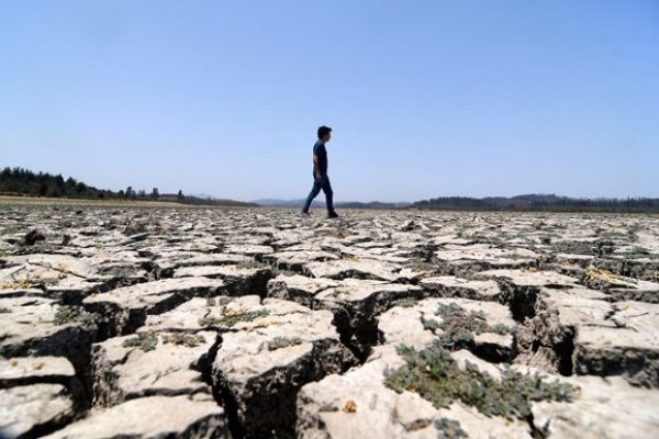 Los ministerios de Agricultura, Medio Ambiente y Energía plantean solicitar un aumento en el presupuesto destinado a estas materias.