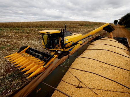 Exportaciones de maíz de Brasil se disparan 221%, impulsadas por ausencia de Ucrania