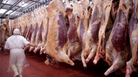 Exportadores colombianos de carne aprovechan tasa de cambio y ventas crecen más de 130%