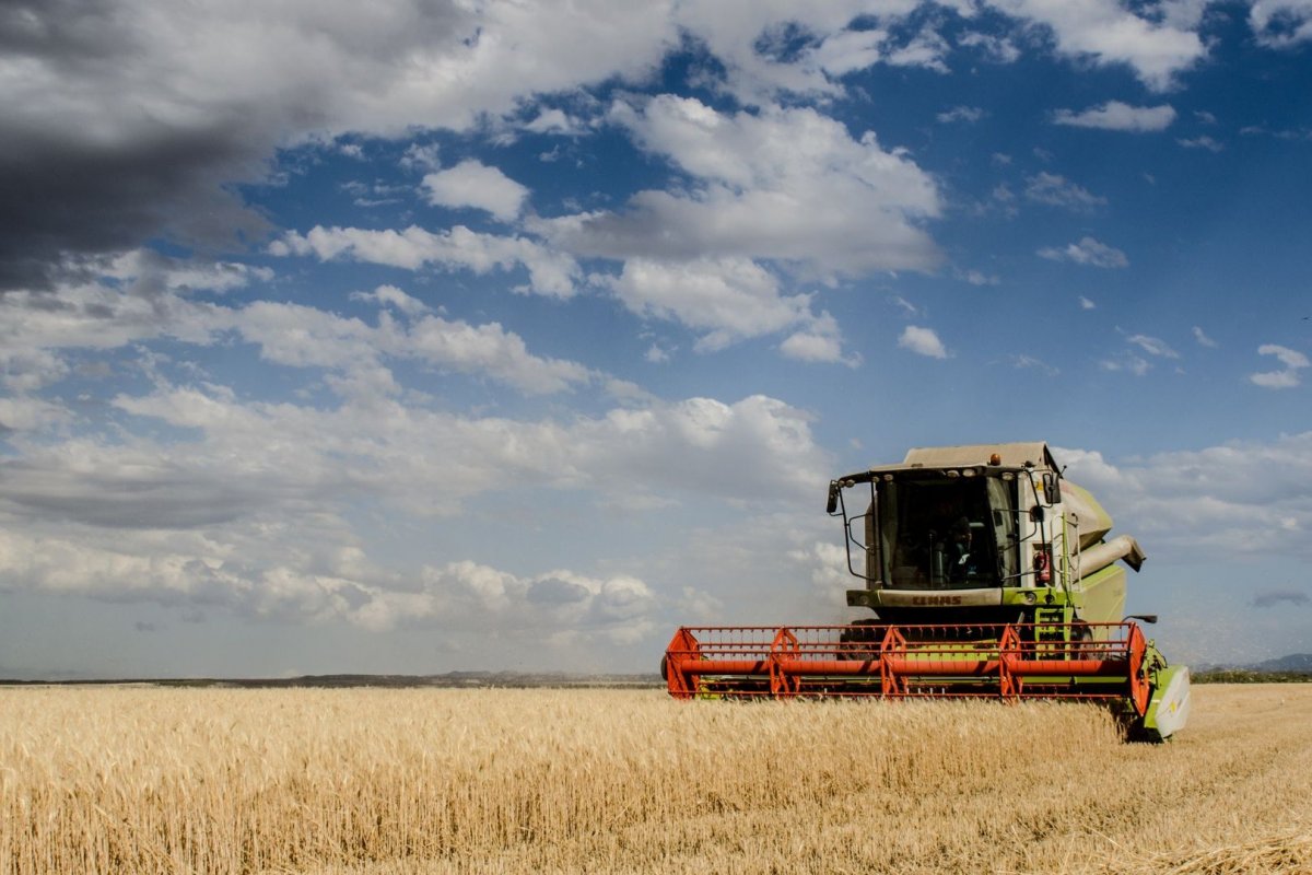 <p>Avanza el centro operativo que gestionará la salida del grano ucraniano tras acuerdo con Rusia</p>