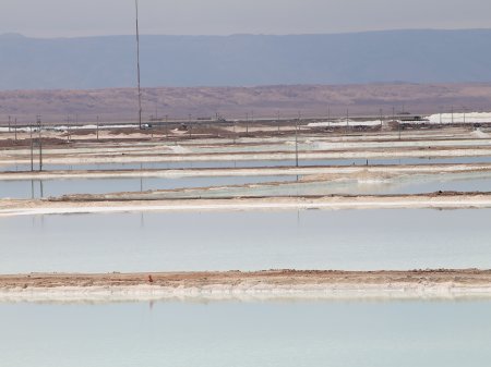 ¿Una OPEP del litio? Argentina y Chile invitarán a Bolivia a crear nueva gobernanza para explotar el mineral