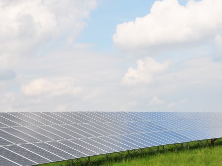 El costo de ser verdes: la ruta de la expansión de los bonos sostenibles