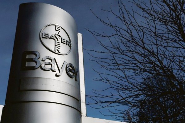 <p>Bayer eleva las proyecciones a medida que la escasez de alimentos impulsa la demanda de semillas y herbicidas</p>