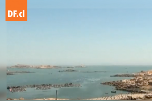 <p>Ahora en DF | China comienza maniobras militares "sin precedentes" alrededor de Taiwán</p>