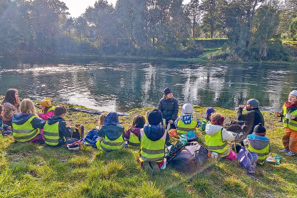 El Bosque Escuela, el proyecto en Puerto Varas que promueve la educación al aire libre
