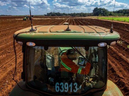 Británica BP y estadounidense Bunge ponen a la venta sus negocios de azúcar y etanol en Brasil