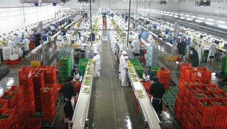 Agroexportaciones peruanas sumarían US$ 9.600 millones en 2022