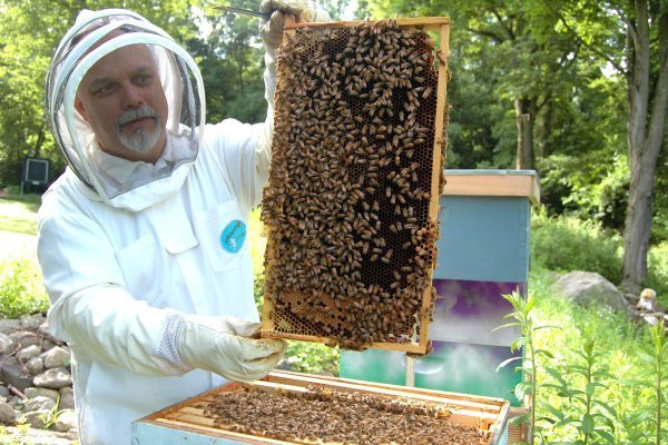 Cera de Abeja - Colmenas Urbanas