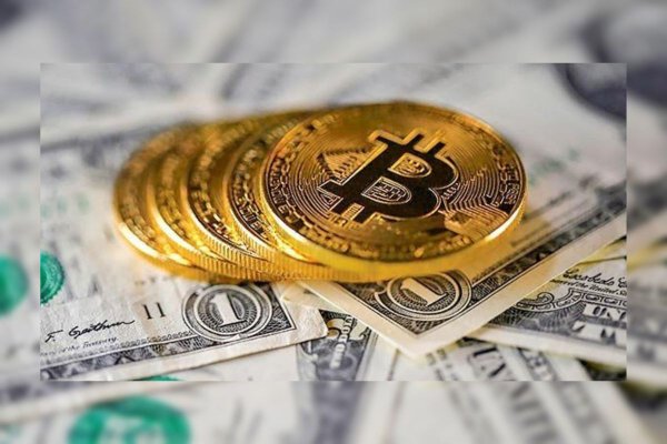 Administradoras de fondos ignoran caída de las criptomonedas y siguen apostando a lo grande