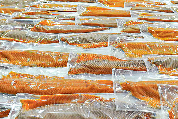 Salmones Camanchaca revierte pérdidas por mayores ventas y baja de costos