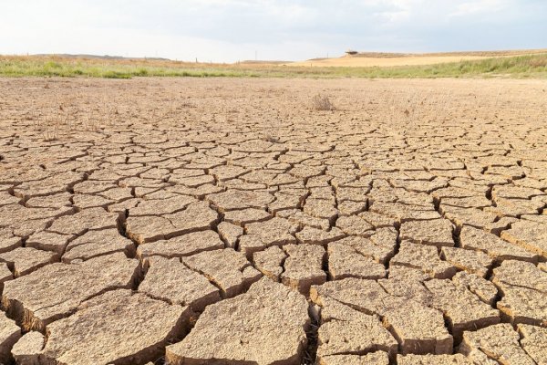 El estrés hídrico y el calor empeoran "significativamente las perspectivas negativas anteriores sobre los rendimientos de los cultivos de verano".